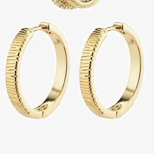 Pilgrim | Semi-Hoops | Gold